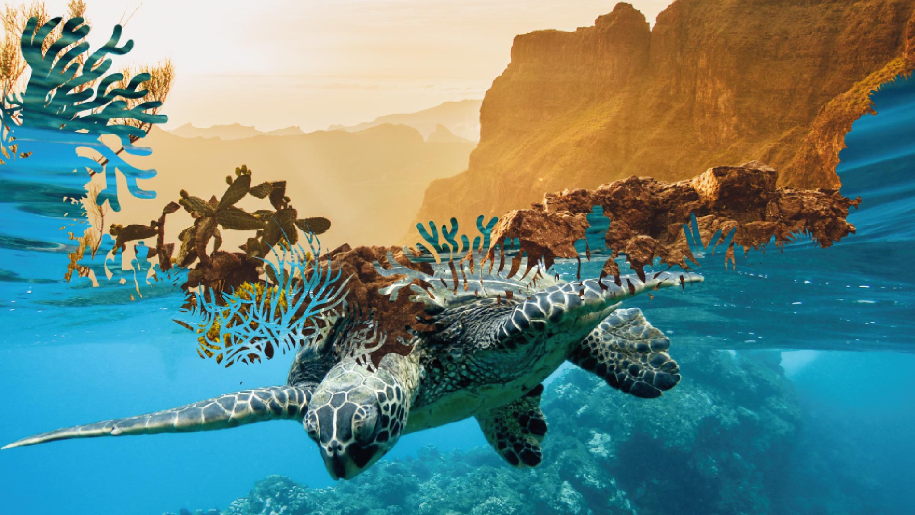 Coral Hotels Coral Hotels