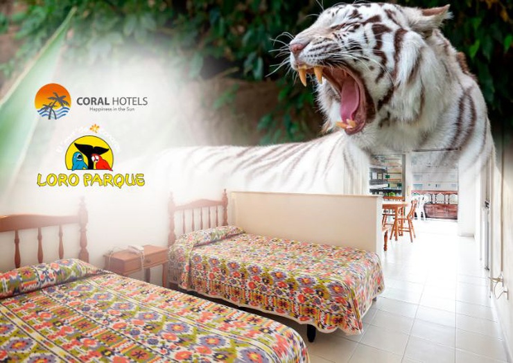 Loro park package - studio standard in self catering + 1 ticket per person to loro park minimum stay of 7 nights coral teide mar puerto de la cruz Loro park package - studio standard in self catering + 1 ticket per person to loro park minimum stay of 7 nights coral teide mar puerto de la cruz