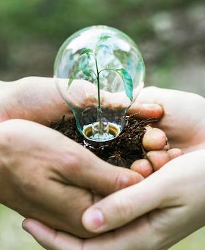 Nachhaltigkeitsrichtlinien Coral Hotels Nachhaltigkeitsrichtlinien Coral Hotels