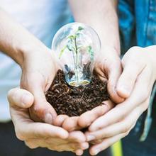 Coral Hotels  Coral Hotels