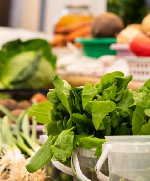 Lokaler Verbrauch Coral Hotels Lokaler Verbrauch Coral Hotels