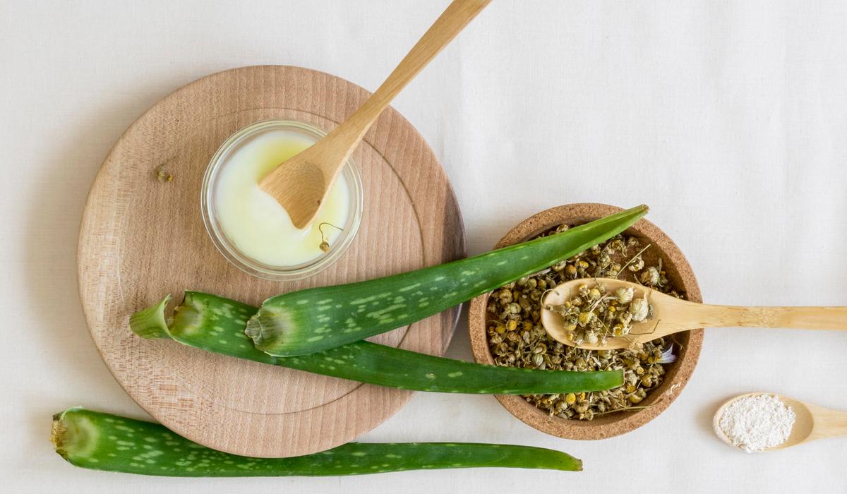 Kanarisches Aloe Vera: Natürlicher Schatz für Haut & Wohlbefinden Coral Hotels Kanarisches Aloe Vera: Natürlicher Schatz für Haut & Wohlbefinden Coral Hotels